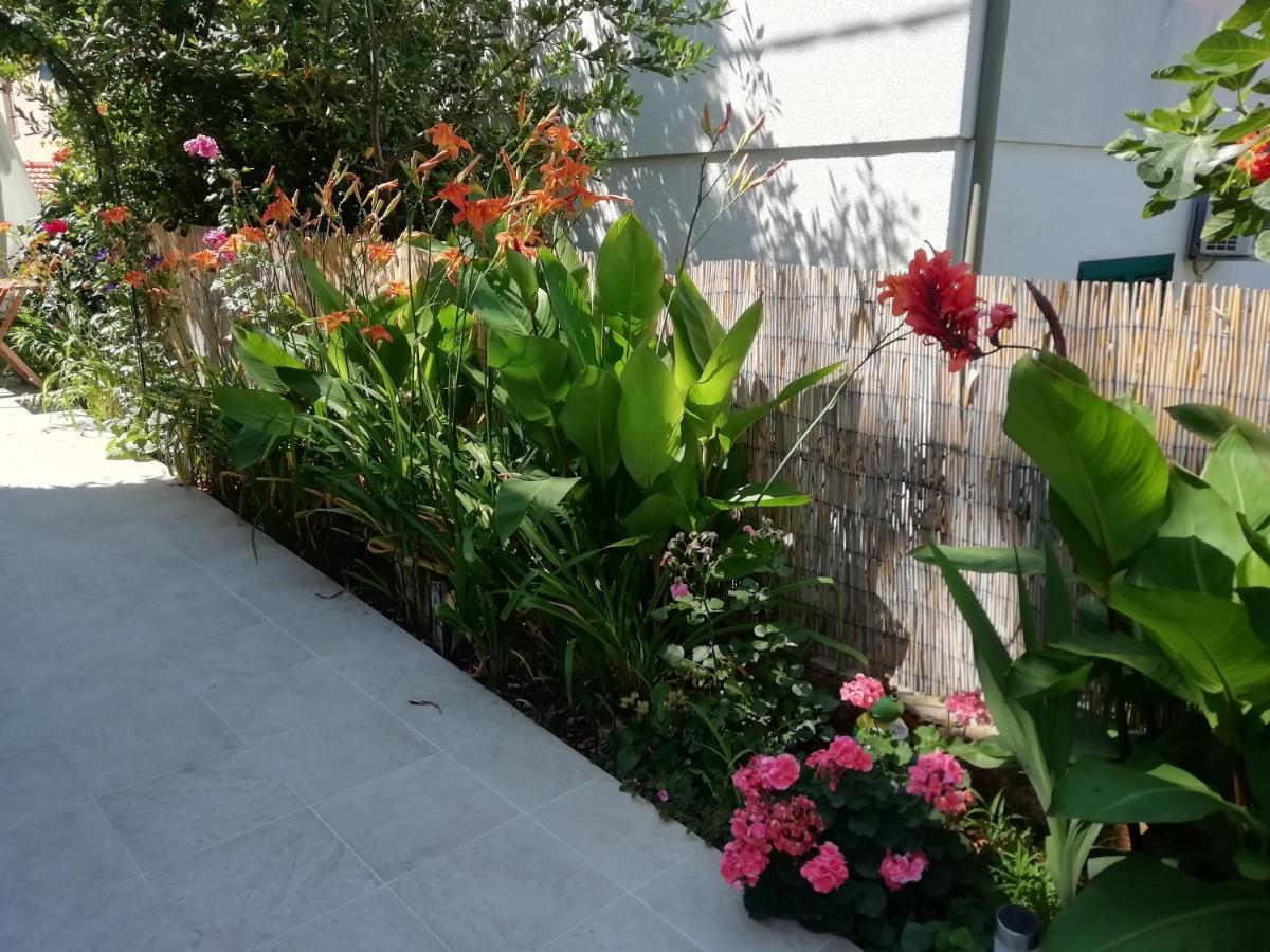 שיבניק Apartments Emi & Nini מראה חיצוני תמונה